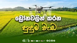 කෘෂිකර්මන්තයට අලුත් තාක්ෂණය | Haritha Tv