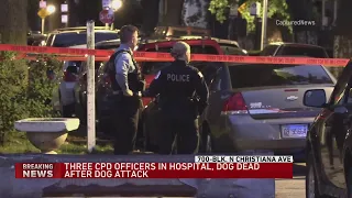3 Chicago police officers injured in West Side dog attack