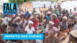 Gaza: Mais de 7.200 agricultores pedem sementes para voltar a cultivar após inundações devastadoras