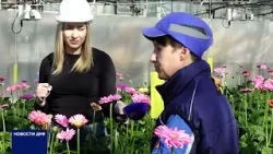 ЦВЕТЫ К ПРАЗДНИКУ ЦВЕТЫ К ПРАЗДНИКУ