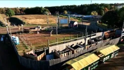 Fall activities at Pinehaven Farm