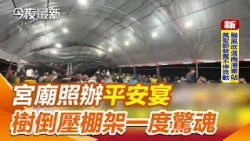 Typhoon Strikes! Temples Host Feasts Despite Falling Trees and Collapsed Tents, Officials Claim: ...