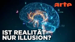 Mein Hirn und ich - Wie unser Gehirn uns austrickst (1/2) | Doku HD | ARTE