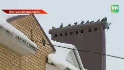 Семь ЧП за выходные: в Татарстане новая волна «крышепада»