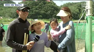 Yeongdeok's Pride: The 'Golden Sweetfish' Summer Festival Draws a Crowd