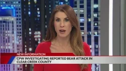 Reported bear attack in Clear Creek County becomes 12th of the year