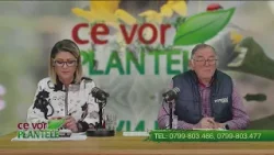 Ingrijirea dafinului Cristina Ghibu si Horia Ghibu Ingrijirea dafinului Cristina Ghibu si Horia Ghibu