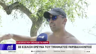 Ο αγωγός που θόλωσε τα νερά στη Λεμεσό - Τι δήλωσαν στον ΑΝΤ1 λουόμενοι