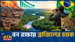 আমাজনে বন উজাড়ে রেকর্ড পতন | Amazon Deforestation | ATN News