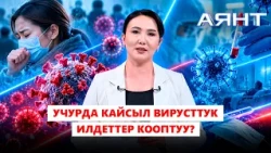 Учурда кайсыл вирусттук илдеттер кооптуу? // Аянт ток-шоусу
