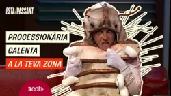 L'eruga processionària (Judit Martín) es reivindica com a animal de companyia | Està passant L'eruga processionària (Judit Martín) es reivindica com a animal de companyia | Està passant