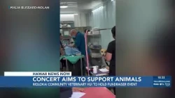 Molokai grassroots group to host fundraiser concert to support stray animal care