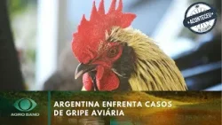 Argentina enfrenta casos de gripe aviária | Aconteceu na Semana