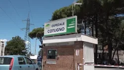 Epatite, allarme sui menù di Pasqua: fare attenzione ai mitili