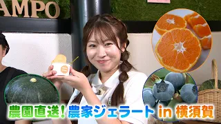 「農園直送！農家ジェラート in 横須賀」かながわ旬菜ナビ 2026/8/2放送