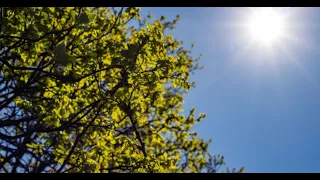 Calor de 39 grados y pocas lluvias en Nicaragua