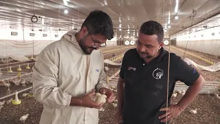 Poultry Farmer's Day celebrates work and dedication in poultry production