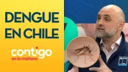 ¿CUÁLES SON LOS SÍNTOMAS? Decretan alerta amarilla por dengue en Los Andes - Contigo en la Mañana