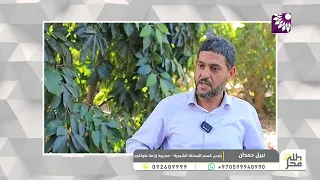 أمطار آب وحرارة مرتفعة.. ماذا يحدث لمحاصيلنا؟