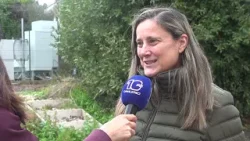 Nuova proposta per un Piano di regolamentazione delle Antenne 5G. I comitati: “Vogliamo tutele”