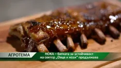 Агротема: НОКА – битката за устойчивост на сектор „Овце и кози“ продължава Агротема: НОКА – битката за устойчивост на сектор „Овце и кози“ продължава