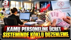 New Regulation for Public Personnel Wage System | A Haber