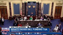 Сенат одобрил финансирование Управления транспортной безопасности (TSA), большую часть бюджета Ми...