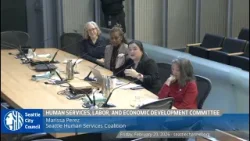Human Services, Labor, and Economic Development Committee 2/20/2026