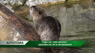 Агротема: Горо ле, горо зелена - красива си, но и застрашена
