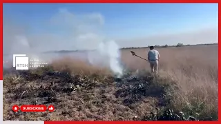 Fier/ 4 vatra zjarri mbeten aktive në pyllin e Semanit, zjarrfikësit po punojnë për shuarjen e tyre
