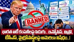 Trump Bans 8 IT Giants from PERM Green Card Program? Infosys, TCS, Wipro & Microsoft | H-1B News