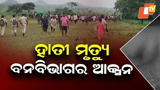 Dhenkanal Elephant Death: 2 Forest Staff Suspended for Negligence