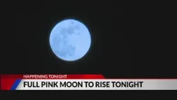 Full pink moon to rise Tuesday night