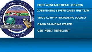 Yolo County reports first West Nile virus death of 2026