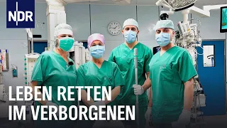Unsichtbare OP-Helfer: Reinigungskräfte der Universitätsmedizin Rostock | Die Nordreportage | NDR