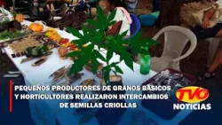 Pequeños productores de granos básicos y horticultores realizaron intercambios de semillas criollas
