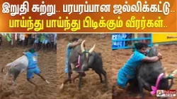 இறுதி சுற்று..பரபரப்பான ஜல்லிக்கட்டு.. பாய்ந்து பாய்ந்து பிடிக்கும் வீரர்கள்..