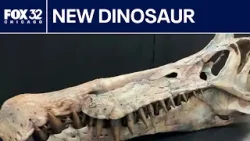 Chicago paleontologist discovers new dinosaur species in Sahara Desert