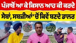 Chajj Da Vichar (2527) || ਪੰਜਾਬੋਂ ਆ ਕੇ ਕਿਸਾਨ ਆਹ ਕੀ ਕਰਦੇ ਸੇਬਾਂ, ਸਬਜ਼ੀਆਂ ‘ਚੋਂ ਕਿਵੇਂ ਬਣਦੇ ਡਾਲਰ Chajj Da Vichar (2527) || ਪੰਜਾਬੋਂ ਆ ਕੇ ਕਿਸਾਨ ਆਹ ਕੀ ਕਰਦੇ ਸੇਬਾਂ, ਸਬਜ਼ੀਆਂ ‘ਚੋਂ ਕਿਵੇਂ ਬਣਦੇ ਡਾਲਰ