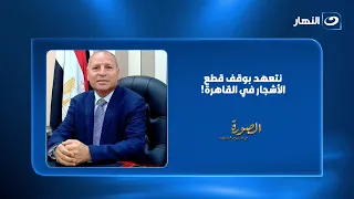 محافظ القاهرة لـ لميس الحديدي: نتعهد بوقف قطع الأشجار.. ومكاتب استشارية متخصصة لتنفيذ خطة الرئيس