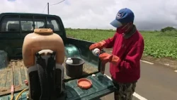 19 Minutes Le Point - Les Pesticides: Pour un meilleur contrôle