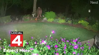 Police searching for suspect in Northville Township Peeping Tom case