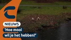 Waterfietsen binnenkort in het Sonsbeekpark in Arnhem | Connect