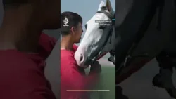قصة علاقة مميزة بين شاب تركماني وحصانه