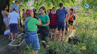 Elindult a faültetési projekt