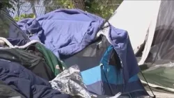 Florida's homeless crisis