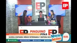 ENTREVISTA JAVIERA CONTANZO MEDICO VETERINARIA