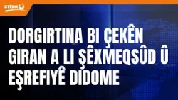 Ronahî Yûsif: Dê ev tax xweseriyên xwe biparêzin. Ronahî Yûsif: Dê ev tax xweseriyên xwe biparêzin.