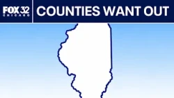 Why some Illinois counties want to separate from Cook County
