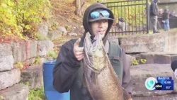 Anglers wade in to Pulaski to find the greatest catch during salmon season
